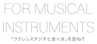 FOR MUSICAL INSTRUMENTS